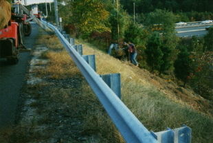 One example of a highway beautification & tree planting project